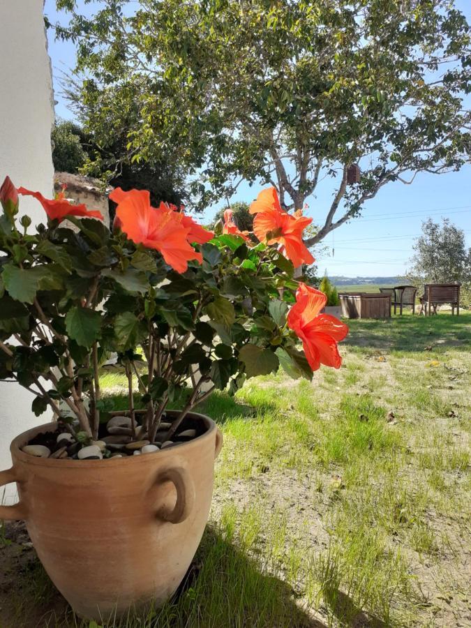 Apartamento ***** Quinta Do Por Do Sol ***** Figueira da Foz Exterior foto